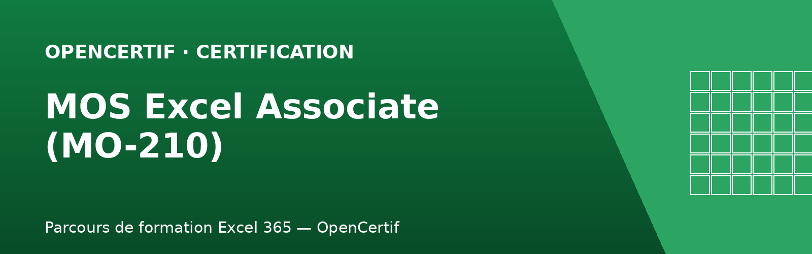 MOS-210 EXCEL ASSOCIATE